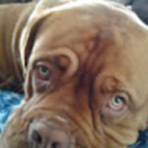 Meet your Posher, Branden